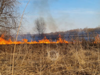 В Федоровке огонь с горящего поля едва не перекинулся на дома, Фото: 22