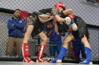 В Новомосковске прошел Чемпионат и Первенство Тульской области по ММА, Фото: 33
