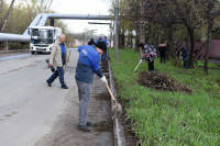 Сотрудники тульской площадки «ПМХ» и «Промсорт-Тулы» приняли участие в общеобластном субботнике, Фото: 1