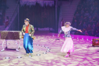 Премьера в Тульском цирке: шоу фонтанов «13 месяцев» удивит вас!, Фото: 8