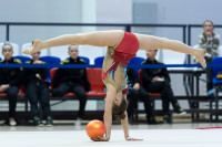 Художественная гимнастика, Фото: 69