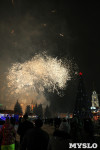 Открытие главной ёлки на площади Ленина, Фото: 45
