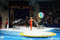 Цирк на воде «Остров сокровищ» в Туле: Здесь невозможное становится возможным, Фото: 81