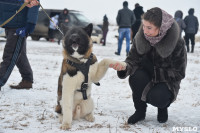 Праздник северных собак на Куликовом поле , Фото: 55