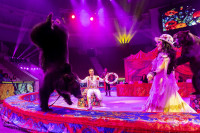 Цирковое шоу 5 континентов , Фото: 64