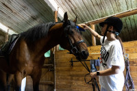 А пони тоже кони: 9-летняя тулячка – числе лучших в конном спорте по выездке, Фото: 10