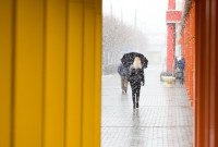 , Фото: 2