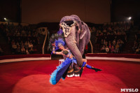 «Шоу Слонов» в Тульском цирке, Фото: 23