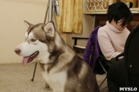 В Туле прошла Всероссийская выставка собак всех пород, Фото: 3