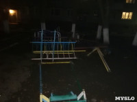 В Донском массово демонтировали детские площадки, Фото: 1