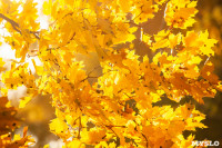 Золотая осень в Туле-2019, Фото: 118