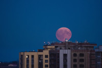 Осетровая Луна 2025, Фото: 9