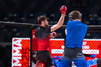 В «Тула-Арене» состоялись областные соревнования по ММА, Фото: 98