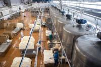 На Узловском молочном комбинате оптимизировали производство творога , Фото: 15