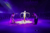 Премьера в Тульском цирке: шоу фонтанов «13 месяцев» удивит вас!, Фото: 35