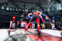В «Тула-Арене» состоялись областные соревнования по ММА, Фото: 5