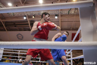 Финал турнира по боксу "Гран-при Тулы", Фото: 138