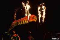 Цирковое шоу, Фото: 124