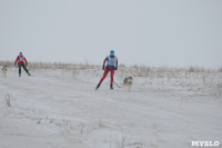 Гонки на собачьих упряжках «Большой тур» на Куликовом поле, Фото: 62
