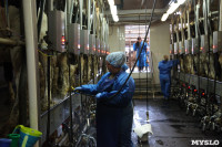 Конкурс профессионального мастерства среди операторов машинного доения коров, Фото: 32