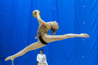 Художественная гимнастика, Фото: 95