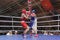 XIX Всероссийский турнир по боксу класса «А», Фото: 18