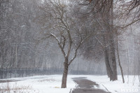 Мартовский снег в Туле, Фото: 70