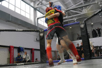 В Новомосковске прошел Чемпионат и Первенство Тульской области по ММА, Фото: 28