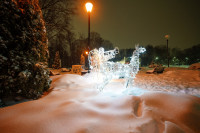 Вечерний снегопад, Фото: 30