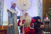 В Туле открылась резиденция Деда Мороза, Фото: 44