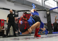 В Новомосковске прошел Чемпионат и Первенство Тульской области по ММА, Фото: 49