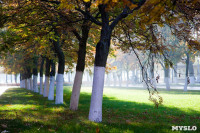Центральный парк, утро, осень, Фото: 49