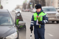 «Цветочный патруль» на тульских дорогах, Фото: 146