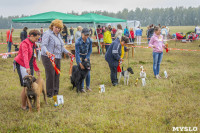 Международная выставка собак, Барсучок. 5.09.2015, Фото: 42