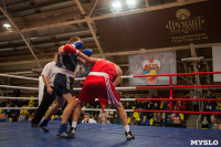 Турнир по боксу «Гран-при Тулы», Фото: 66