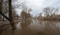 В Туле затопило Баташевский сад, Фото: 7