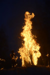 В ЦПКиО сожгли чучело зимы, Фото: 25