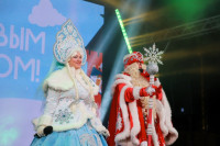 Глава администрации Тулы Илья Беспалов: «Загадывайте желания под нашей новой красавицей-ёлкой», Фото: 20