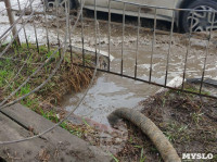 Потоп на Демидовской плотине, 12.04.19, Фото: 11
