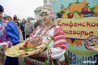 Алексей Дюмин посетил Епифанскую ярмарку, Фото: 1