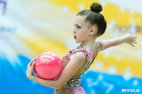 Тула провела крупный турнир по художественной гимнастике, Фото: 186