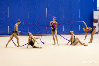 В Туле стартовало первенство Центрального федерального округа по художественной гимнастике, Фото: 93