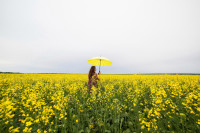 , Фото: 58