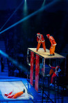 Успейте посмотреть шоу «Новогодние приключения домовенка Кузи» в Тульском цирке, Фото: 80