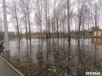 Тулица затопила Баташевский сад, Фото: 8