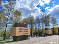 ЕВРАЗ посадил в Пролетарском парке 100 деревьев, Фото: 2