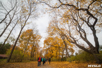 Золотая осень в Ясной Поляне, Фото: 112