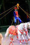 Цирк «Вива, Зорро!» в Туле , Фото: 58