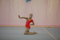IX Всероссийский турнир по художественной гимнастике «Старая Тула», Фото: 4