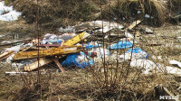 Поселок Славный в Тульской области зарастает мусором, Фото: 18